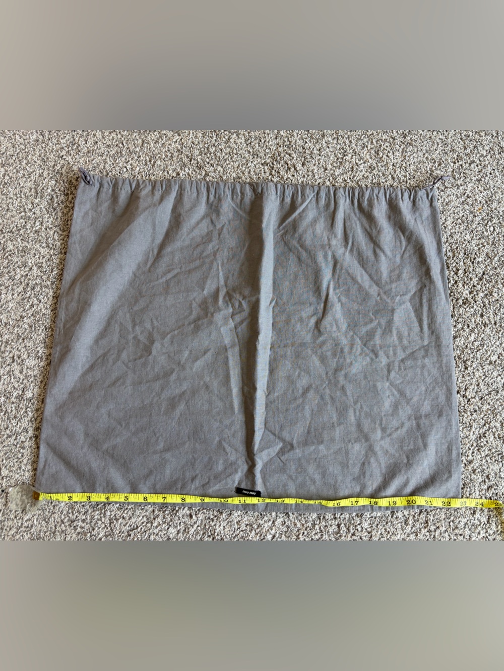 Miu Miu Gray Dust bag